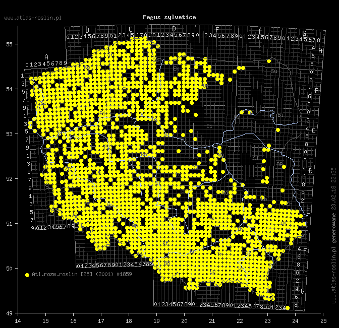 wystepowanie - Fagus sylvatica (buk zwyczajny)