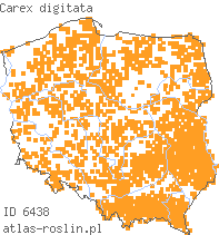 wystepowanie - Carex digitata (turzyca palczasta)