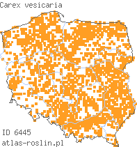 wystepowanie - Carex vesicaria (turzyca pęcherzykowata)