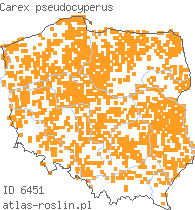 wystepowanie - Carex pseudocyperus (turzyca nibyciborowata)