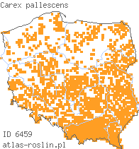 wystepowanie - Carex pallescens (turzyca blada)