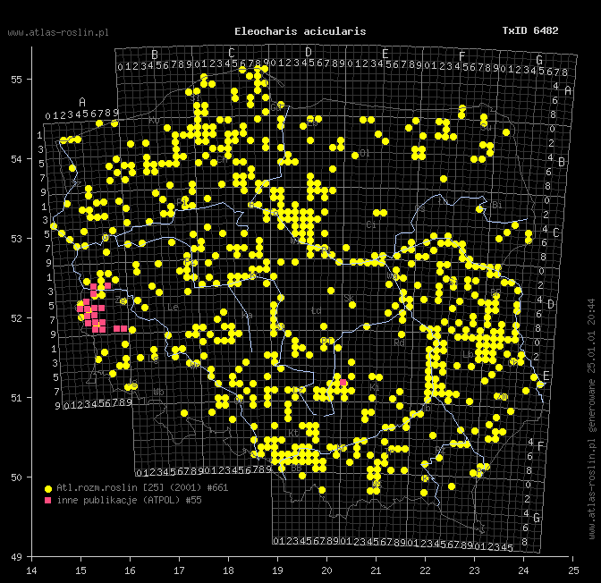 wystepowanie - Eleocharis acicularis (ponikło igłowate)