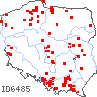 wystepowanie - Eleocharis mamillata (ponikło sutkowate)