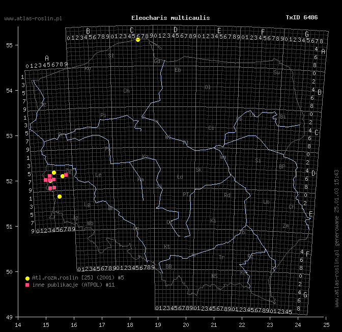 wystepowanie - Eleocharis multicaulis (ponikło wielołodygowe)