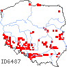 wystepowanie - Eleocharis ovata (ponikło jajowate)