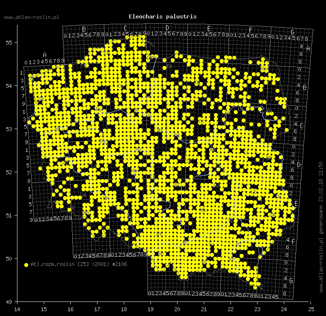 wystepowanie - Eleocharis palustris (ponikło błotne)