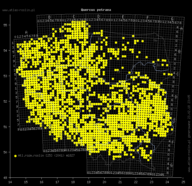 wystepowanie - Quercus petraea (dąb bezszypułkowy)