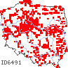 wystepowanie - Eleocharis uniglumis (ponikło jednoprzysadkowe)