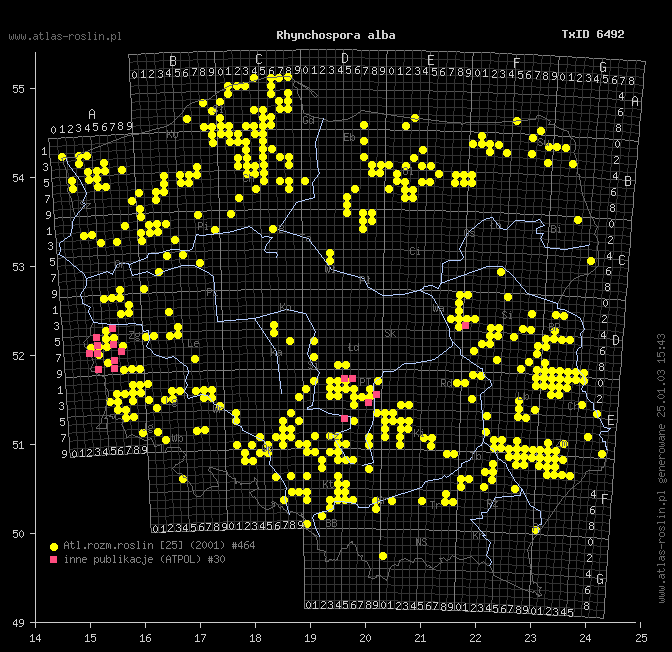wystepowanie - Rhynchospora alba (przygiełka biała)