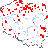 wystepowanie - Eriophorum gracile (wełnianka delikatna)