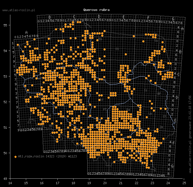 wystepowanie - Quercus rubra (dąb czerwony)