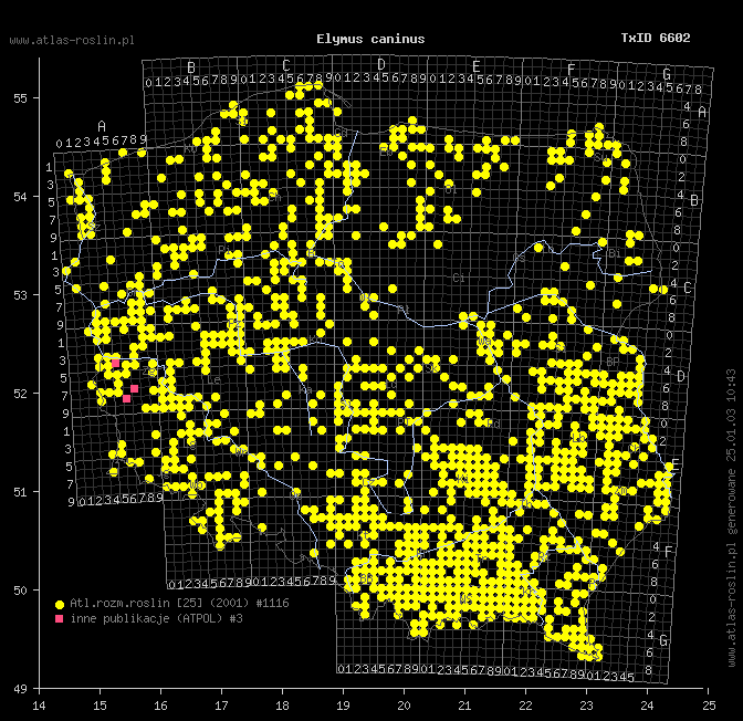 wystepowanie - Elymus caninus (perz psi)