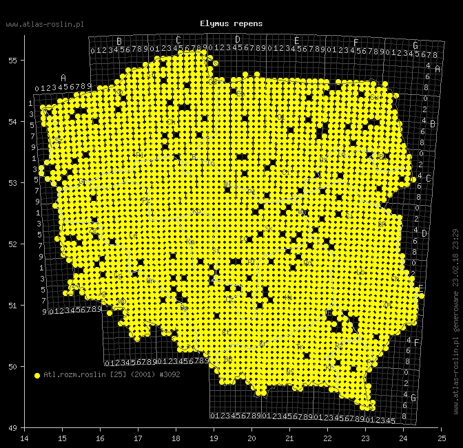 wystepowanie - Elymus repens (perz właściwy)