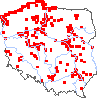 wystepowanie - Leymus arenarius (wydmuchrzyca piaskowa)