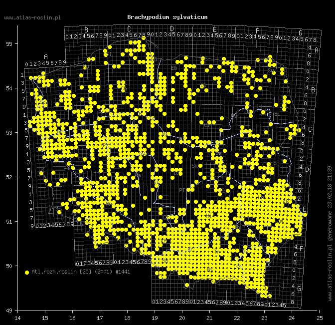 wystepowanie - Brachypodium sylvaticum (kłosownica leśna)