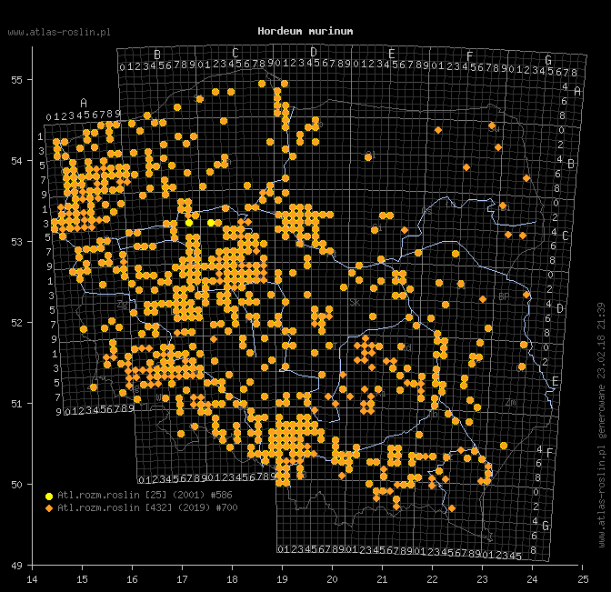 wystepowanie - Hordeum murinum (jęczmień płonny)