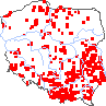 wystepowanie - Lolium temulentum (życica roczna)