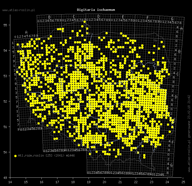wystepowanie - Digitaria ischaemum (palusznik nitkowaty)