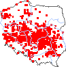 wystepowanie - Anthoxanthum aristatum (tomka oścista)