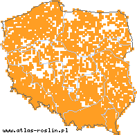 wystepowanie - Cynosurus cristatus (grzebienica pospolita)