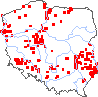 wystepowanie - Alopecurus myosuroides (wyczyniec polny)