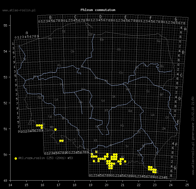 wystepowanie - Phleum commutatum (tymotka alpejska)