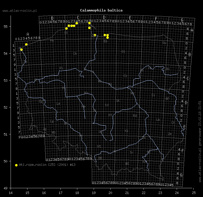 wystepowanie - Calammophila baltica (trzcinnikownica nadbrzeżna)