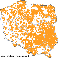 wystepowanie - Agrostis canina s.str. (mietlica psia)