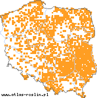 wystepowanie - Agrostis canina (mietlica psia)