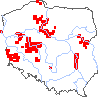 wystepowanie - Agrostis vinealis (mietlica piaskowa)