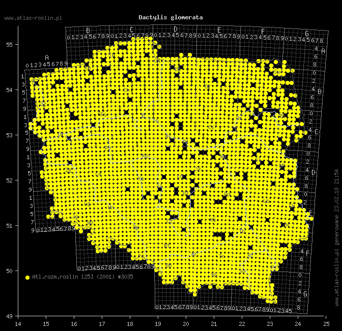 wystepowanie - Dactylis glomerata (kupkówka pospolita)