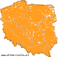 wystepowanie - Dactylis glomerata (kupkówka pospolita)