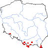 wystepowanie - Dactylis glomerata ssp. slovenica (kupkówka pospolita słowacka)