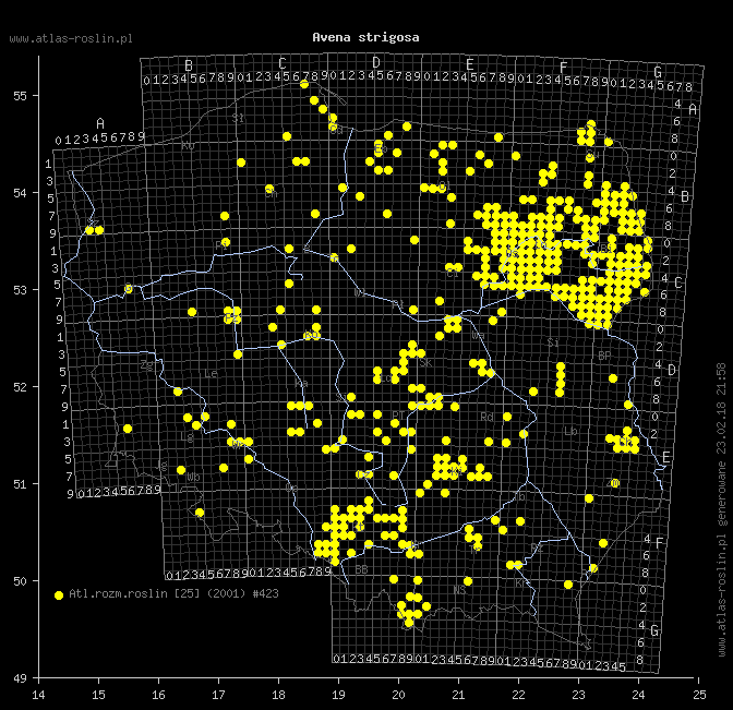 wystepowanie - Avena strigosa (owies szorstki)