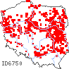 wystepowanie - Koeleria glauca (strzęplica sina)