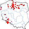 wystepowanie - Koeleria pyramidata (strzęplica piramidalna)