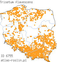 wystepowanie - Trisetum flavescens (konietlica łąkowa)
