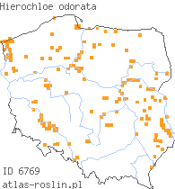 wystepowanie - Hierochloe odorata (turówka wonna)