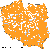 wystepowanie - Briza media (drżączka średnia)