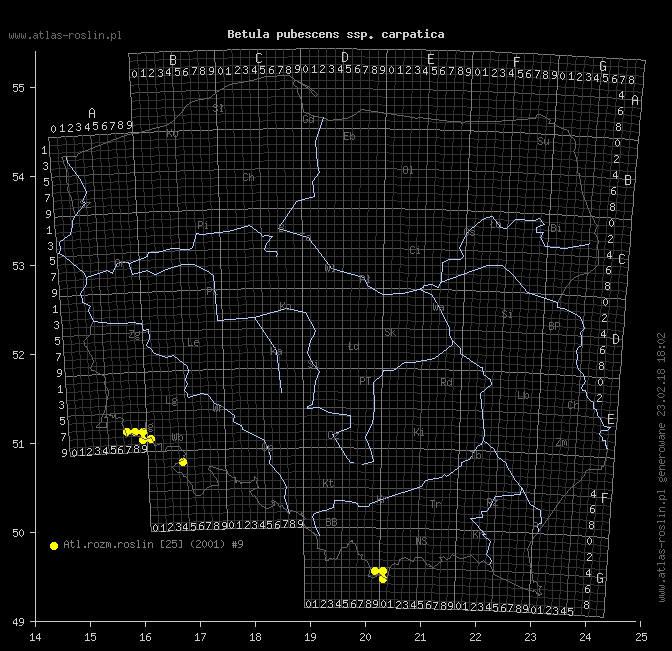 wystepowanie - Betula pubescens ssp. carpatica (brzoza omszona karpacka)