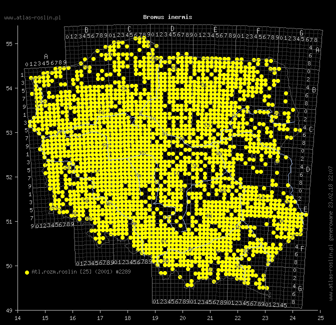 wystepowanie - Bromus inermis (stokłosa bezostna)