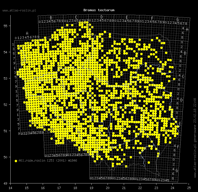 wystepowanie - Bromus tectorum (stokłosa dachowa)