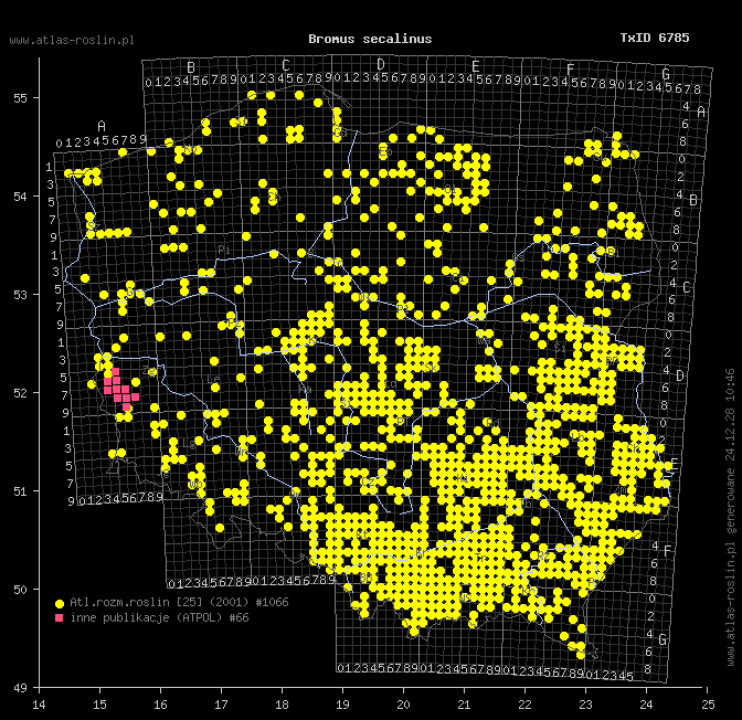 wystepowanie - Bromus secalinus (stokłosa żytnia)