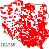 wystepowanie - Bromus secalinus (stokłosa żytnia)