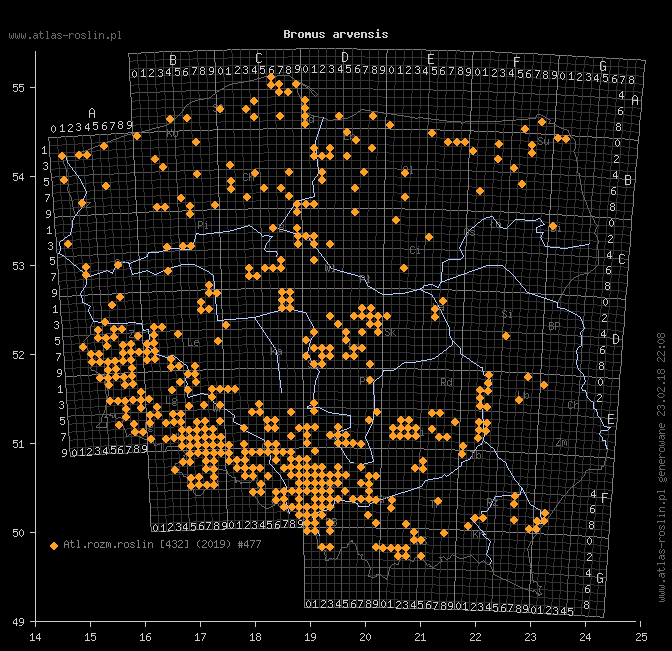 wystepowanie - Bromus arvensis (stokłosa polna)