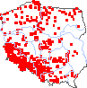 wystepowanie - Bromus arvensis (stokłosa polna)