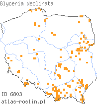 wystepowanie - Glyceria declinata (manna długoząbkowa)