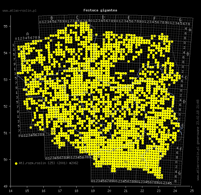wystepowanie - Festuca gigantea (kostrzewa olbrzymia)