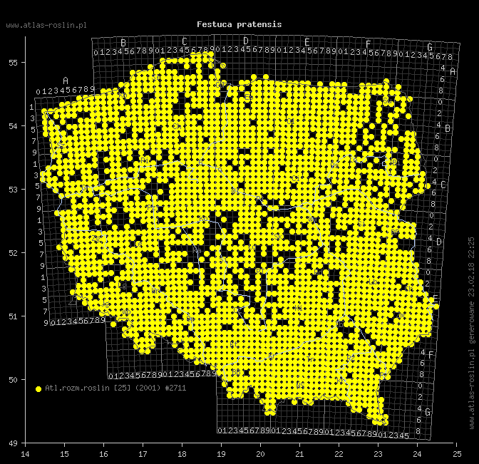 wystepowanie - Festuca pratensis (kostrzewa łąkowa)