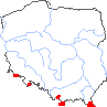 wystepowanie - Festuca airoides (kostrzewa niska)